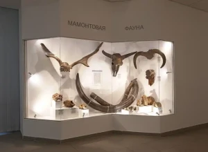 Музей природы