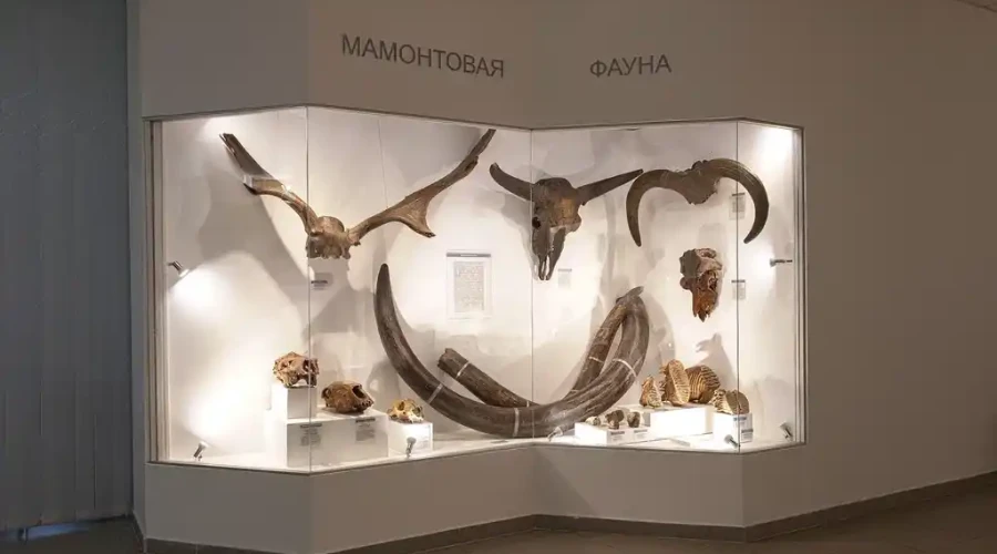 Музей природы